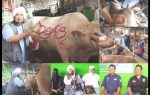 CV Puput Bersaudara Gandeng Ustad Dery Sulaiman Mudahkan Berqurban di jalan Allah Depok,- citra